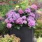 ✨Last Day 60% OFF - Outdoor Artificial Hydrangea Flowers💐