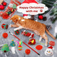 😻2024 Christmas Countdown Cat Toys Advent Calendar🎁