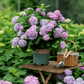 ✨Last Day 60% OFF - Outdoor Artificial Hydrangea Flowers💐