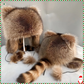 ❄️Winter Specials❄️ Raccoon Tail Fur Parent-Child Plush Hat