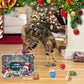 😻2024 Christmas Countdown Cat Toys Advent Calendar🎁