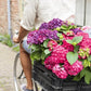 ✨Last Day 60% OFF - Outdoor Artificial Hydrangea Flowers💐