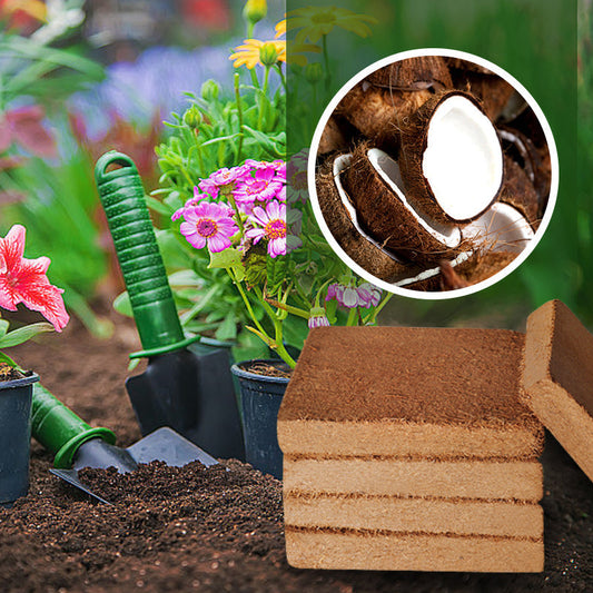 ✨Big Sales - 49% OFF🌿Organic Coconut Fiber Nutrient Soil for Plants