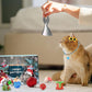 😻2024 Christmas Countdown Cat Toys Advent Calendar🎁