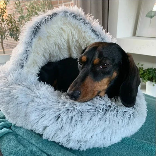 🔥HOT SALE🔥Plush Bed For Dogs & Cats🐶🐱