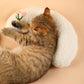 🔥Hot Sale [SAVE 49% OFF] 😺-Cat Lovely Cozy Pillow