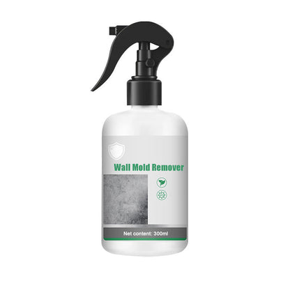 Mildew Removal Spray